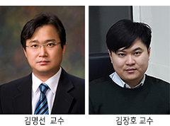 김명선 교수팀, 손상된 조직 재생 돕는 나노 멀티스케일 지지체 개발