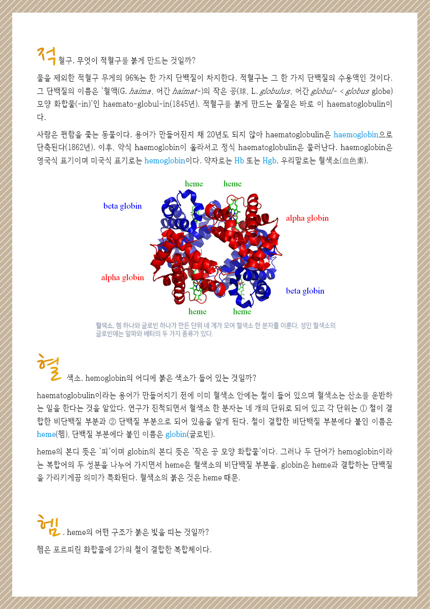 공지소식 > 의학어원론